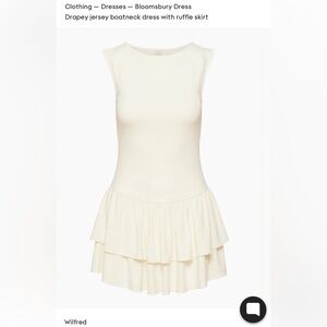 Aritzia Bloomsbury Dress